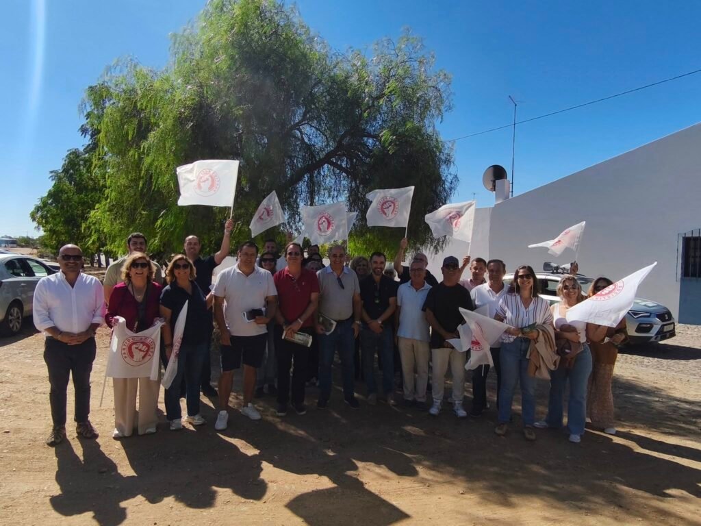 ARRUADA em Santa Vitoria, Mombeja, Mina e Monte da Juliana! A energia positiva d...